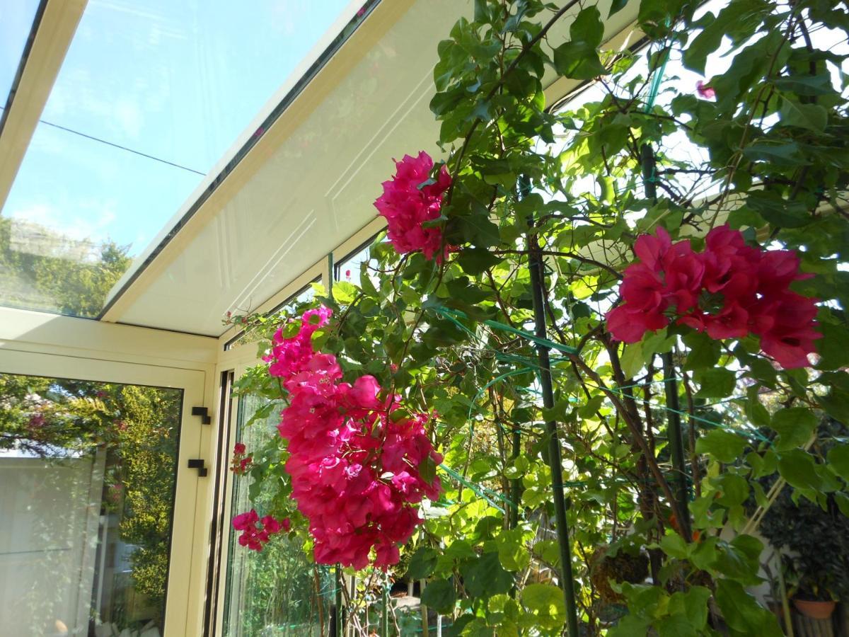 Chambre D'Hotes Aux Sables D'Olonne 莱萨布勒-多洛讷 外观 照片