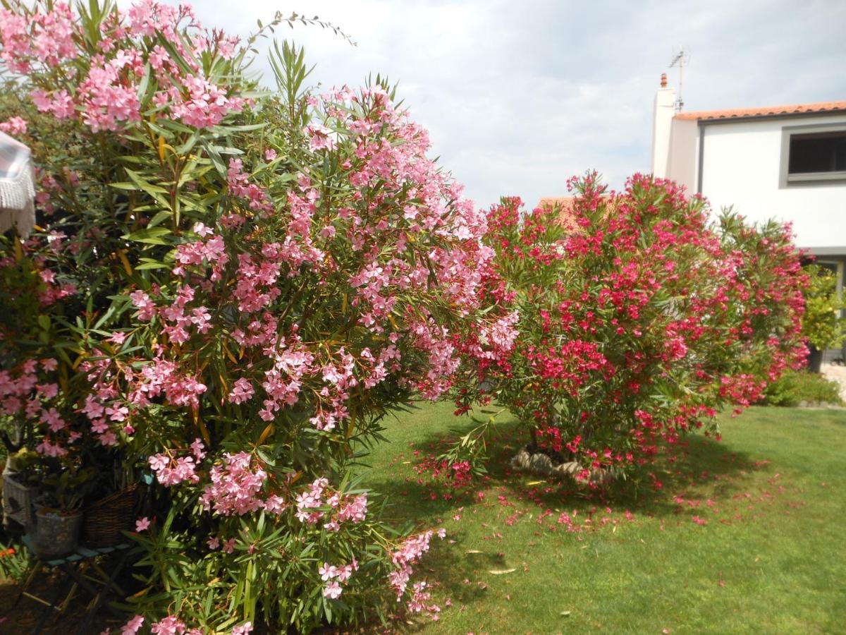 Chambre D'Hotes Aux Sables D'Olonne 莱萨布勒-多洛讷 外观 照片